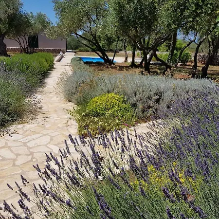 Stone House * Ugljan