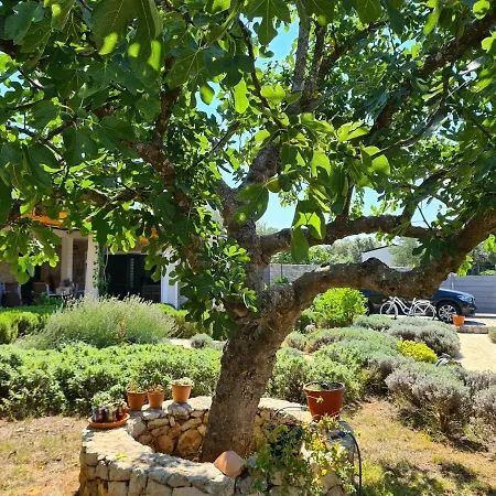 Villa Stone House Ugljan