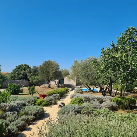 Stone House Villa