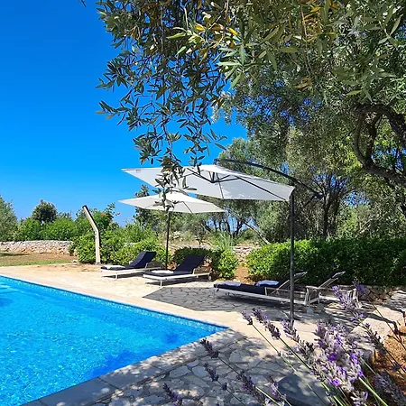 Stone House * Ugljan